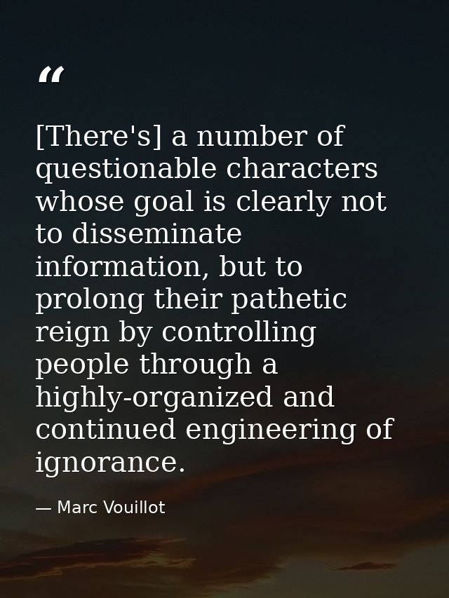 [There's] a number of questionable characters whose goal is clearly not to disseminate information, but to prolong their — Marc Vouillot