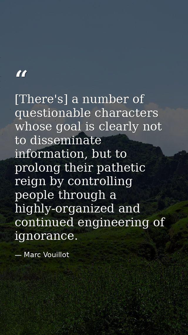 [There's] a number of questionable characters whose goal is clearly not to disseminate information, but to prolong their — Marc Vouillot