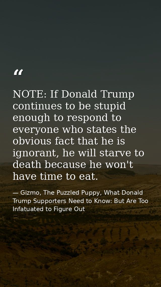 NOTE: If Donald Trump continues to be stupid enough to respond to everyone who states the obvious fact that he is ignora — Gizmo, The Puzzled Puppy, What Donald Trump Supporters Need to Know: But Are Too Infatuated to Figure Out