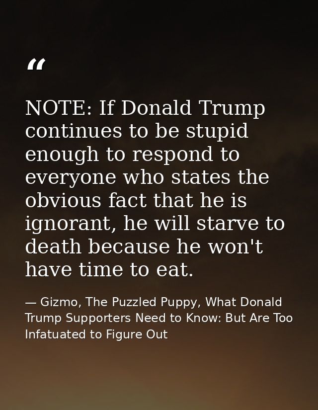NOTE: If Donald Trump continues to be stupid enough to respond to everyone who states the obvious fact that he is ignora — Gizmo, The Puzzled Puppy, What Donald Trump Supporters Need to Know: But Are Too Infatuated to Figure Out