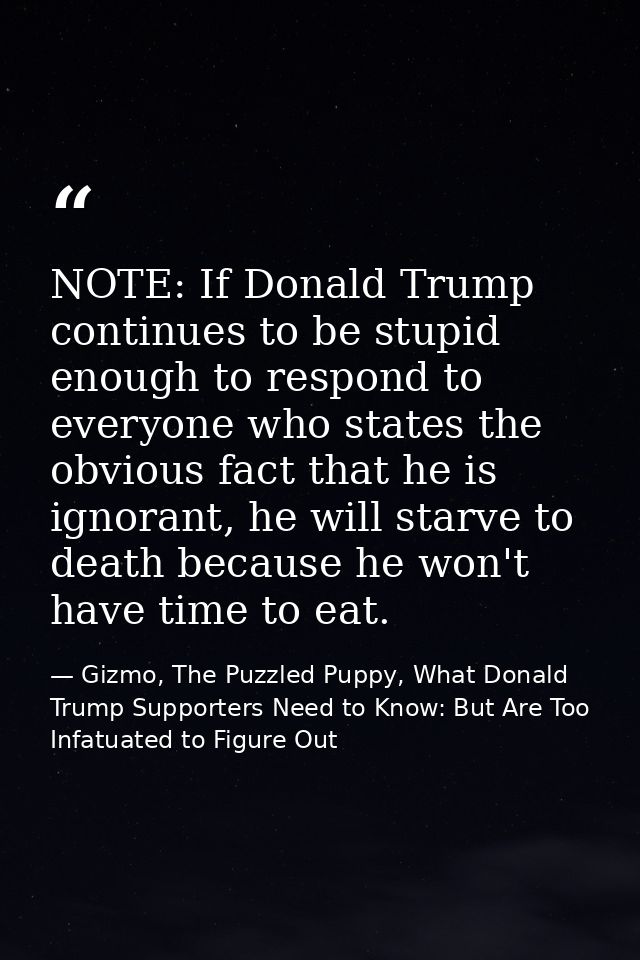 NOTE: If Donald Trump continues to be stupid enough to respond to everyone who states the obvious fact that he is ignora — Gizmo, The Puzzled Puppy, What Donald Trump Supporters Need to Know: But Are Too Infatuated to Figure Out