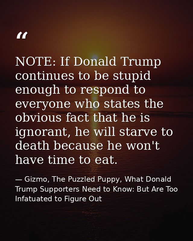 NOTE: If Donald Trump continues to be stupid enough to respond to everyone who states the obvious fact that he is ignora — Gizmo, The Puzzled Puppy, What Donald Trump Supporters Need to Know: But Are Too Infatuated to Figure Out