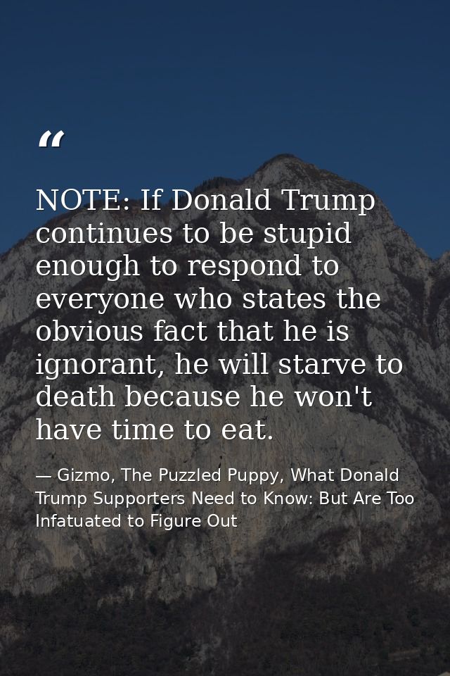 NOTE: If Donald Trump continues to be stupid enough to respond to everyone who states the obvious fact that he is ignora — Gizmo, The Puzzled Puppy, What Donald Trump Supporters Need to Know: But Are Too Infatuated to Figure Out