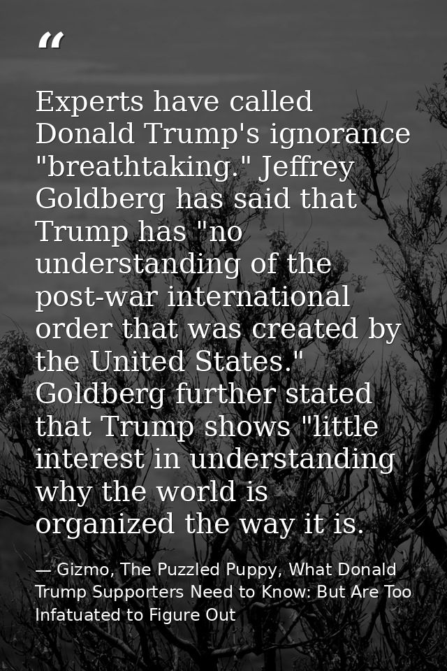 Experts have called Donald Trump's ignorance "breathtaking." Jeffrey Goldberg has said that Trump has "no understanding  — Gizmo, The Puzzled Puppy, What Donald Trump Supporters Need to Know: But Are Too Infatuated to Figure Out