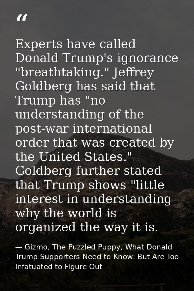 Experts have called Donald Trump's ignorance "breathtaking." Jeffrey Goldberg has said that Trump has "no understanding  — Gizmo, The Puzzled Puppy, What Donald Trump Supporters Need to Know: But Are Too Infatuated to Figure Out