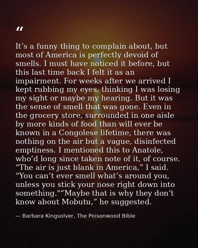It’s a funny thing to complain about, but most of America is perfectly devoid of smells. I must have noticed it before,  — Barbara Kingsolver, The Poisonwood Bible
