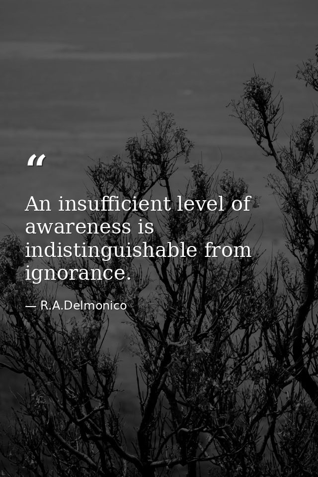 An insufficient level of awareness is indistinguishable from ignorance. — R.A.Delmonico