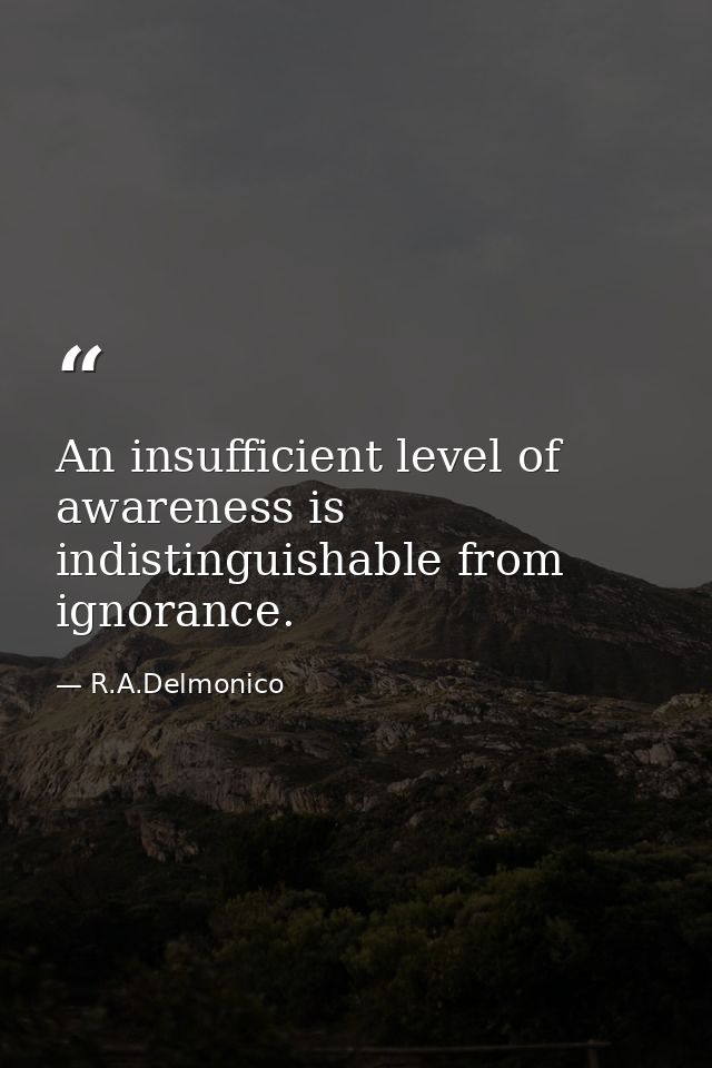 An insufficient level of awareness is indistinguishable from ignorance. — R.A.Delmonico