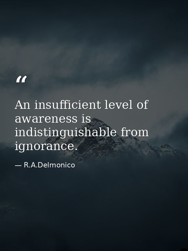An insufficient level of awareness is indistinguishable from ignorance. — R.A.Delmonico