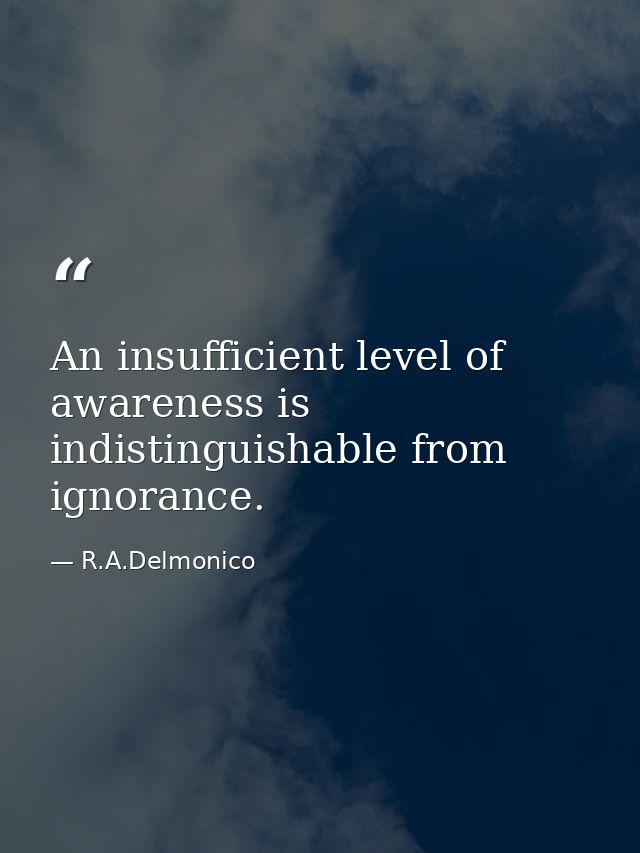 An insufficient level of awareness is indistinguishable from ignorance. — R.A.Delmonico