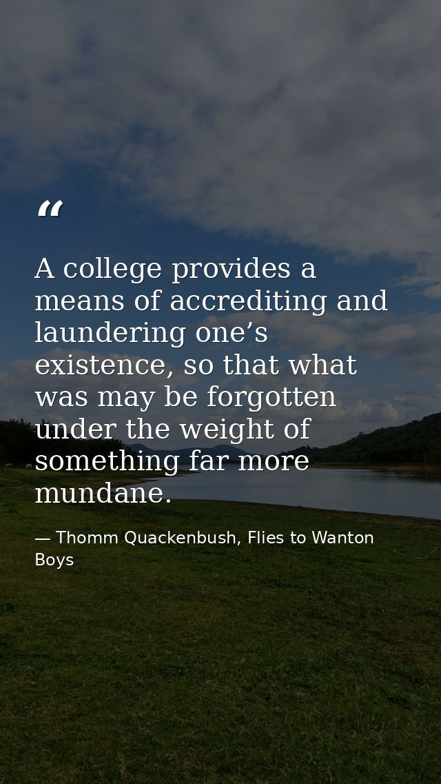 A college provides a means of accrediting and laundering one’s existence, so that what was may be forgotten under the we — Thomm Quackenbush, Flies to Wanton Boys