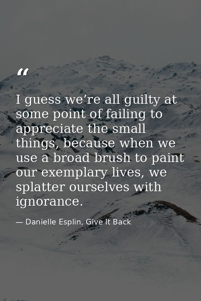 I guess we’re all guilty at some point of failing to appreciate the small things, because when we use a broad brush to p — Danielle Esplin, Give It Back