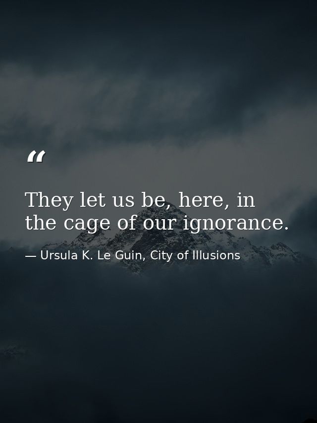 They let us be, here, in the cage of our ignorance. — Ursula K. Le Guin, City of Illusions