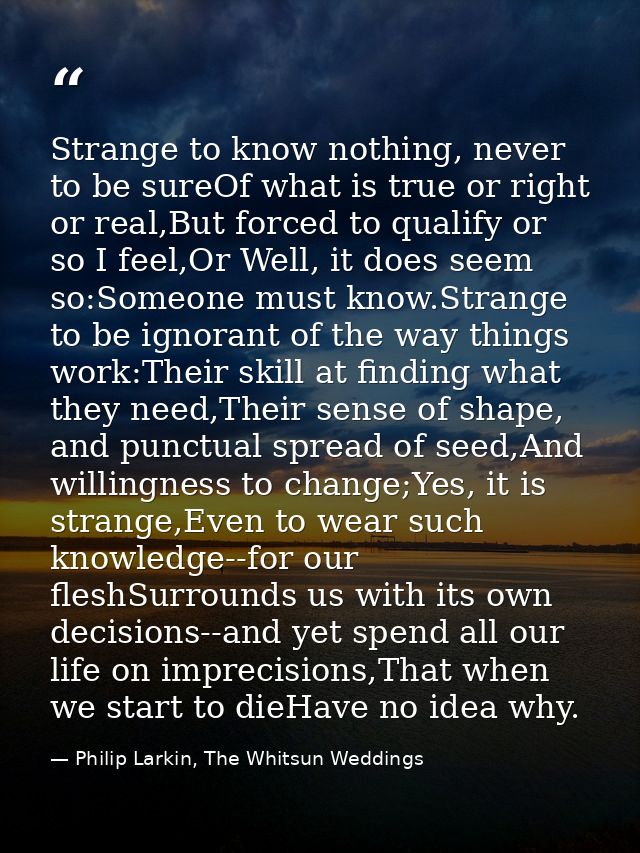 Strange to know nothing, never to be sureOf what is true or right or real,But forced to qualify or so I feel,Or Well, it — Philip Larkin, The Whitsun Weddings