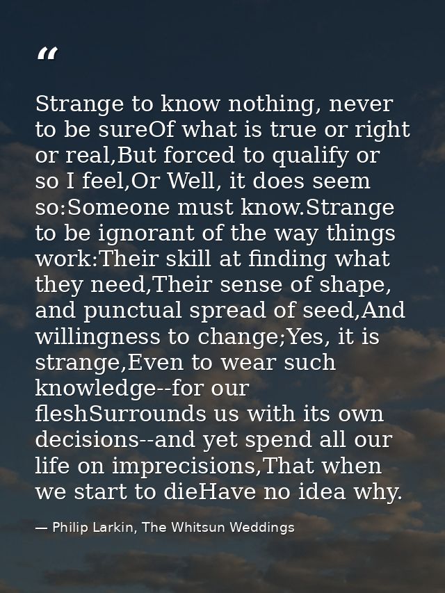 Strange to know nothing, never to be sureOf what is true or right or real,But forced to qualify or so I feel,Or Well, it — Philip Larkin, The Whitsun Weddings