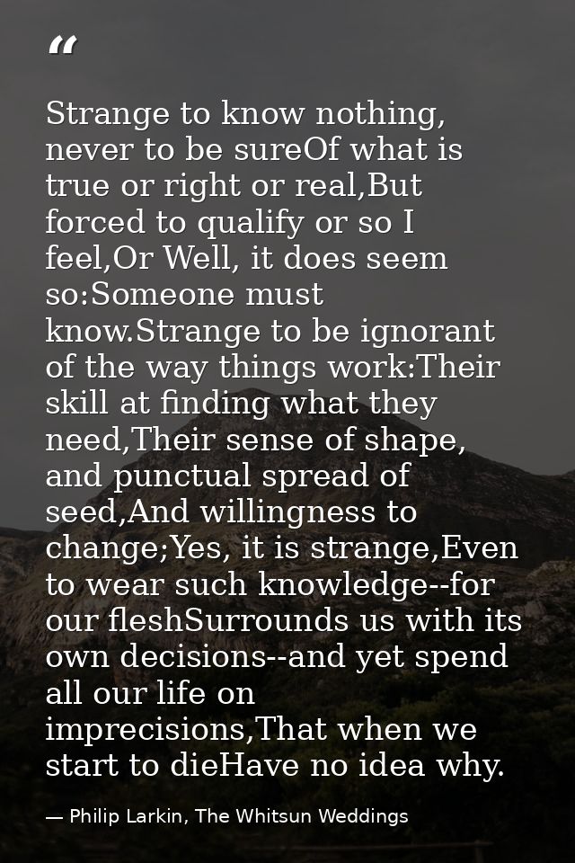 Strange to know nothing, never to be sureOf what is true or right or real,But forced to qualify or so I feel,Or Well, it — Philip Larkin, The Whitsun Weddings