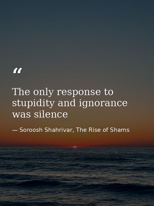 The only response to stupidity and ignorance was silence — Soroosh Shahrivar, The Rise of Shams