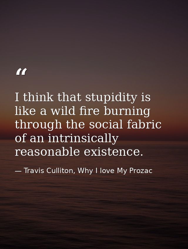 I think that stupidity is like a wild fire burning through the social fabric of an intrinsically reasonable existence. — Travis Culliton, Why I love My Prozac
