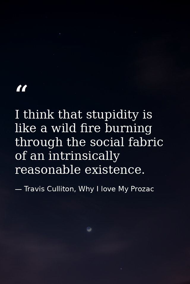 I think that stupidity is like a wild fire burning through the social fabric of an intrinsically reasonable existence. — Travis Culliton, Why I love My Prozac