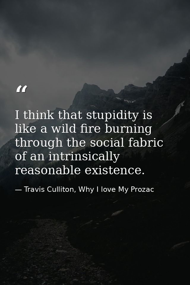 I think that stupidity is like a wild fire burning through the social fabric of an intrinsically reasonable existence. — Travis Culliton, Why I love My Prozac