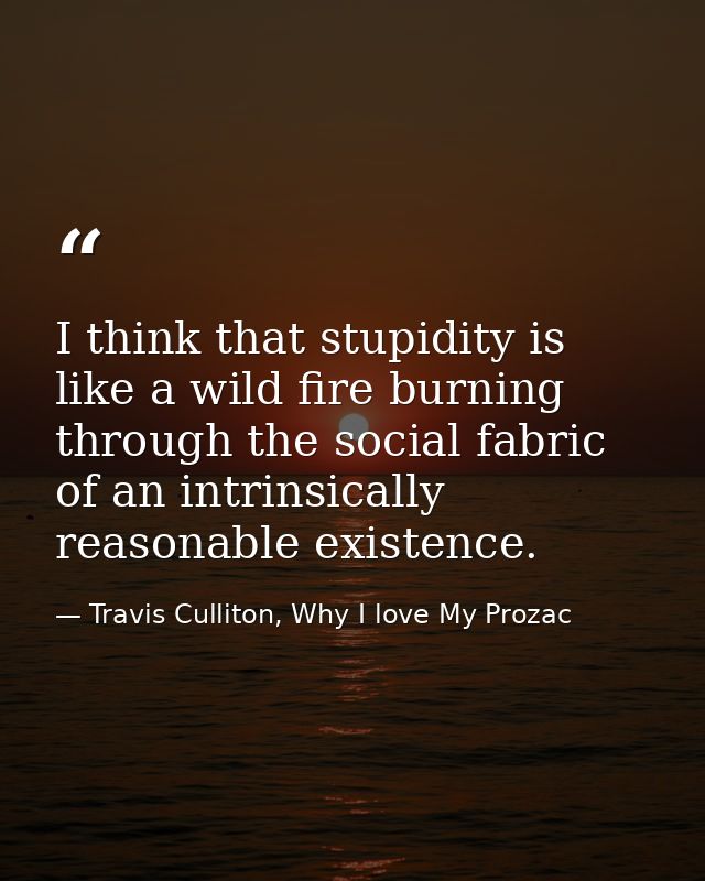 I think that stupidity is like a wild fire burning through the social fabric of an intrinsically reasonable existence. — Travis Culliton, Why I love My Prozac