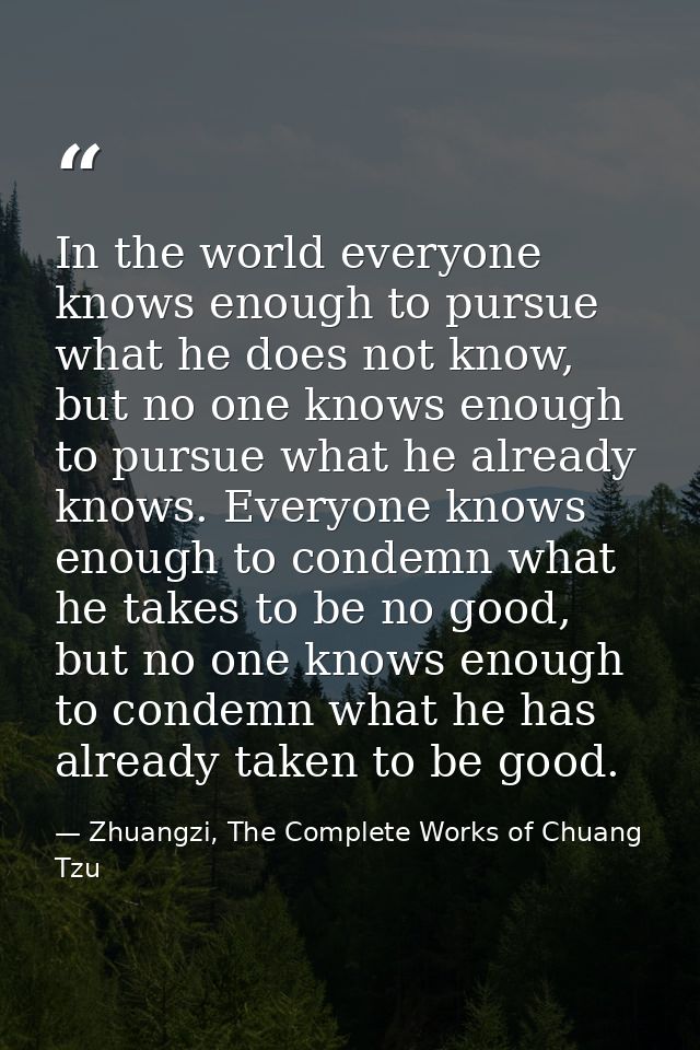 In the world everyone knows enough to pursue what he does not know, but no one knows enough to pursue what he already kn — Zhuangzi, The Complete Works of Chuang Tzu
