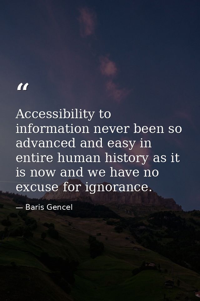 Accessibility to information never been so advanced and easy in entire human history as it is now and we have no excuse  — Baris Gencel