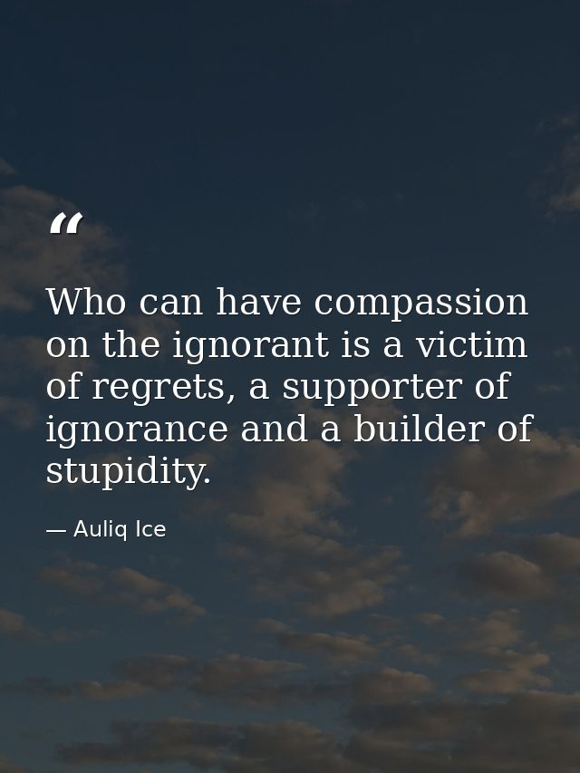 Who can have compassion on the ignorant is a victim of regrets, a supporter of ignorance and a builder of stupidity. — Auliq Ice