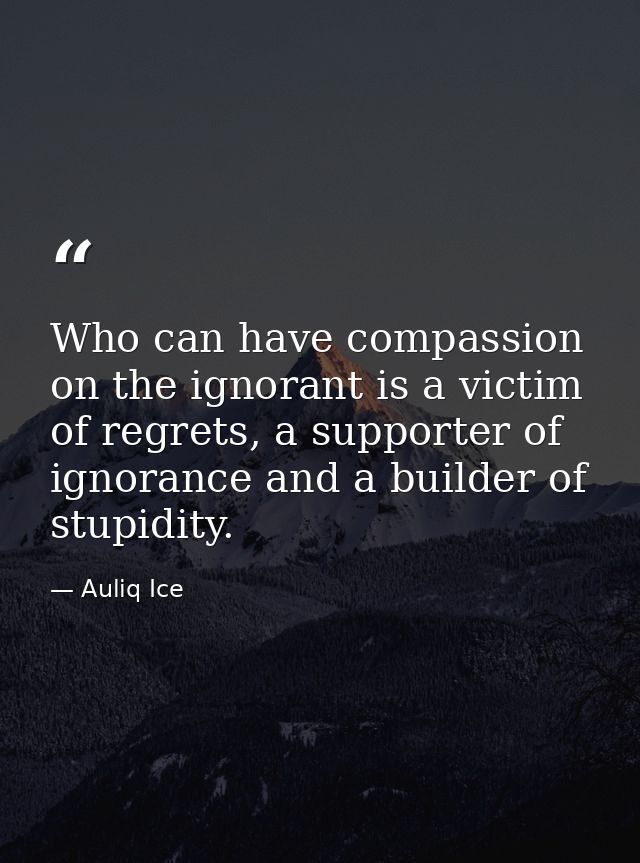 Who can have compassion on the ignorant is a victim of regrets, a supporter of ignorance and a builder of stupidity. — Auliq Ice