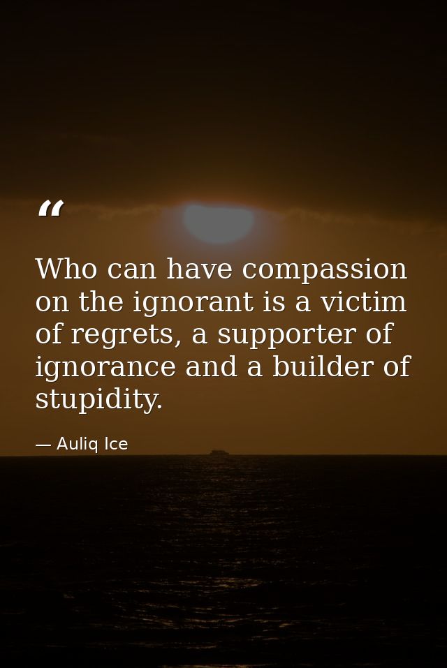 Who can have compassion on the ignorant is a victim of regrets, a supporter of ignorance and a builder of stupidity. — Auliq Ice