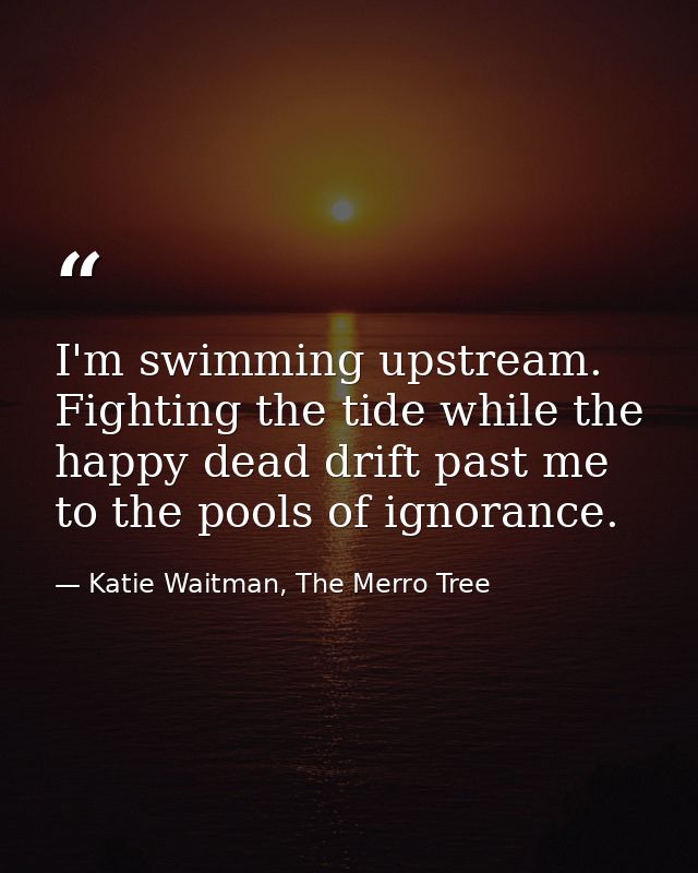 I'm swimming upstream. Fighting the tide while the happy dead drift past me to the pools of ignorance. — Katie Waitman, The Merro Tree