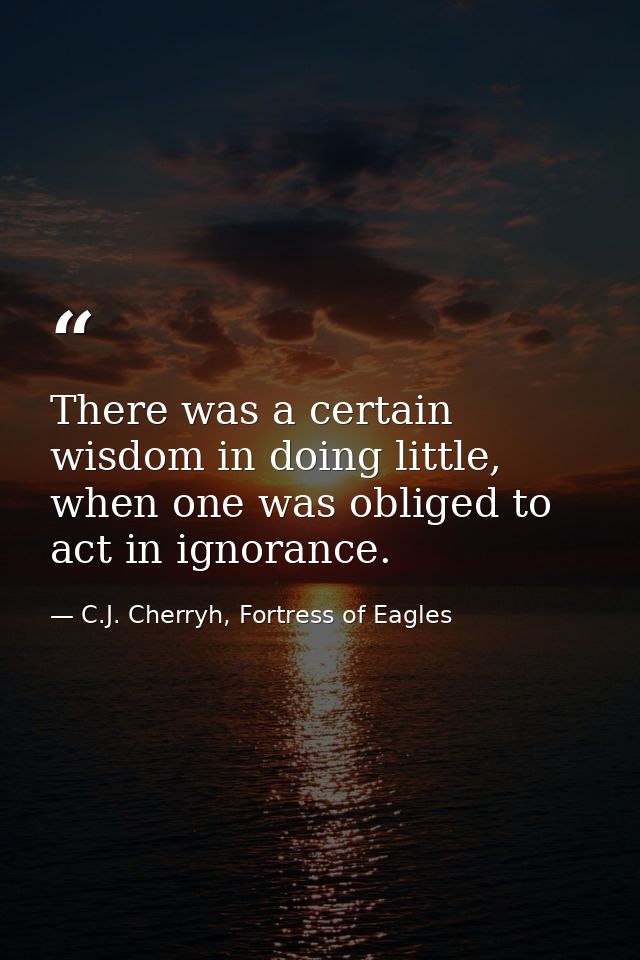 There was a certain wisdom in doing little, when one was obliged to act in ignorance. — C.J. Cherryh, Fortress of Eagles