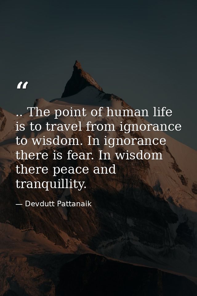 .. The point of human life is to travel from ignorance to wisdom. In ignorance there is fear. In wisdom there peace and  — Devdutt Pattanaik