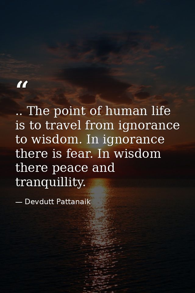 .. The point of human life is to travel from ignorance to wisdom. In ignorance there is fear. In wisdom there peace and  — Devdutt Pattanaik