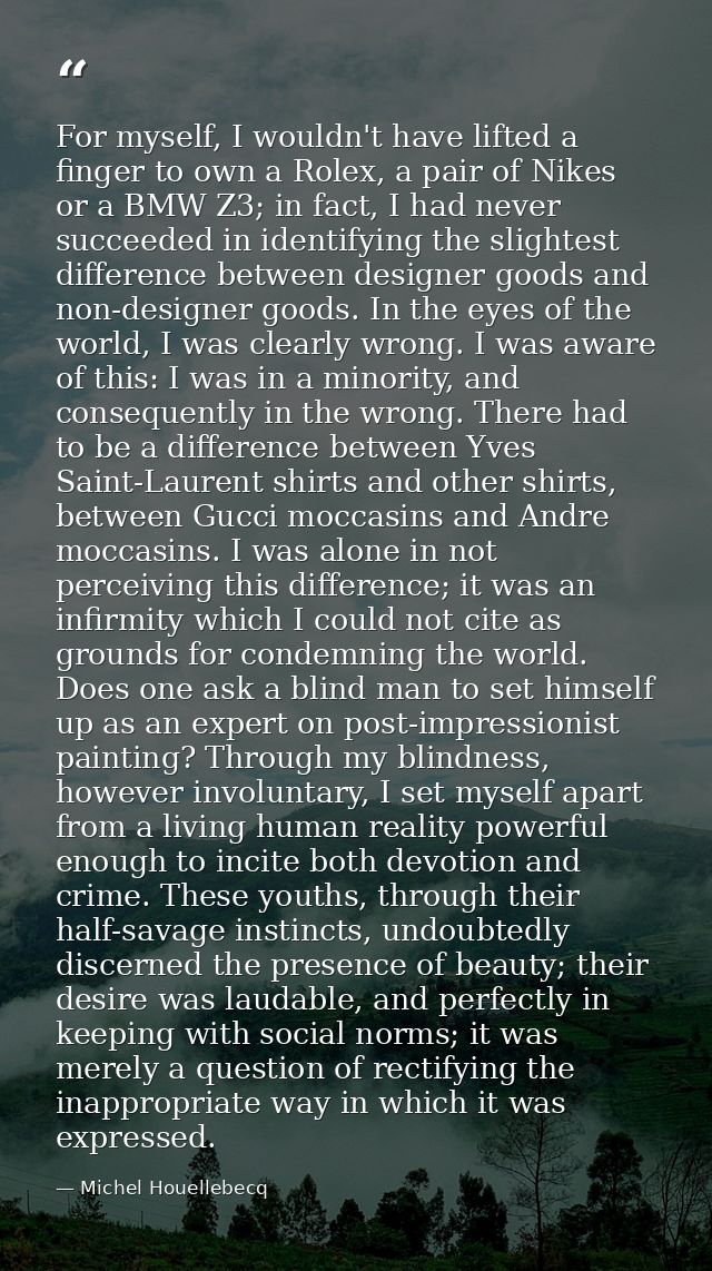 For myself, I wouldn't have lifted a finger to own a Rolex, a pair of Nikes or a BMW Z3; in fact, I had never succeeded  — Michel Houellebecq