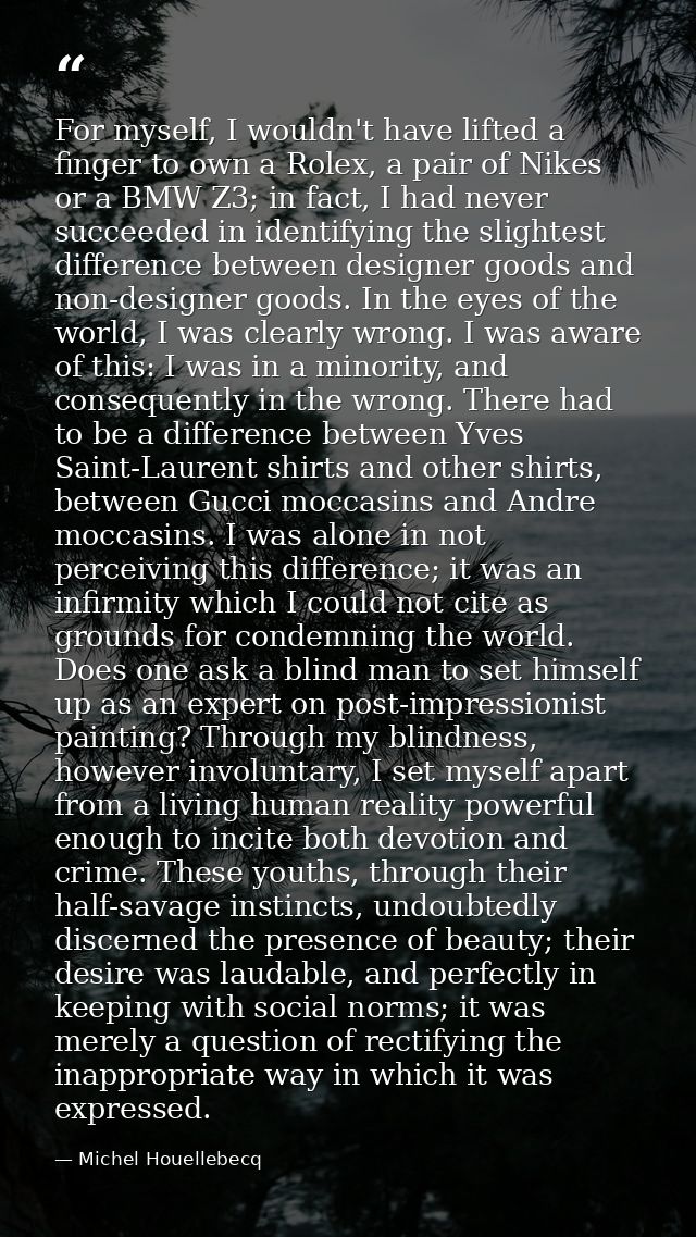 For myself, I wouldn't have lifted a finger to own a Rolex, a pair of Nikes or a BMW Z3; in fact, I had never succeeded  — Michel Houellebecq