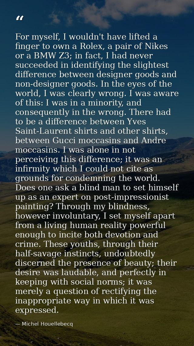 For myself, I wouldn't have lifted a finger to own a Rolex, a pair of Nikes or a BMW Z3; in fact, I had never succeeded  — Michel Houellebecq