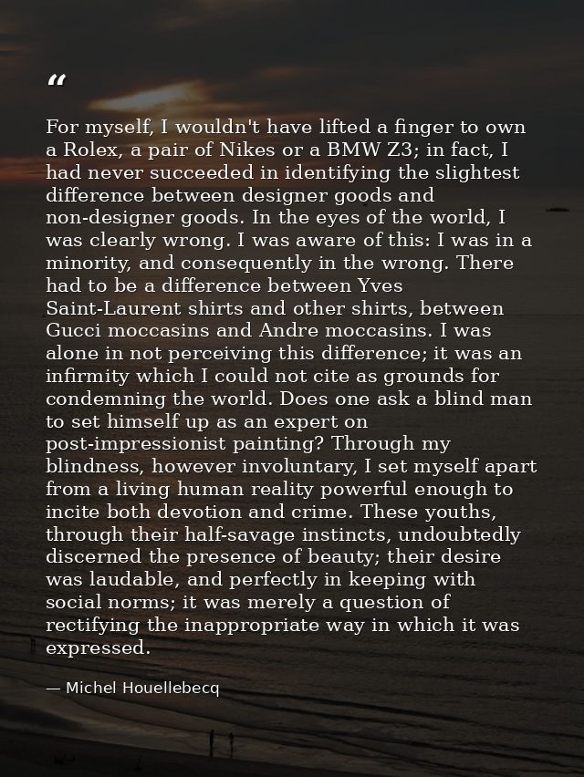 For myself, I wouldn't have lifted a finger to own a Rolex, a pair of Nikes or a BMW Z3; in fact, I had never succeeded  — Michel Houellebecq