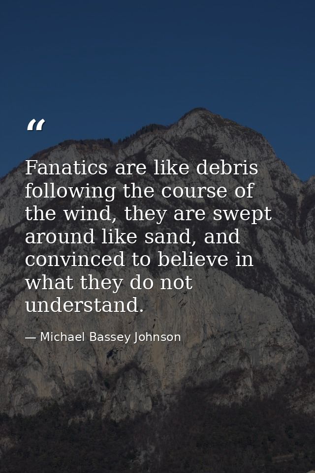 Fanatics are like debris following the course of the wind, they are swept around like sand, and convinced to believe in  — Michael Bassey Johnson