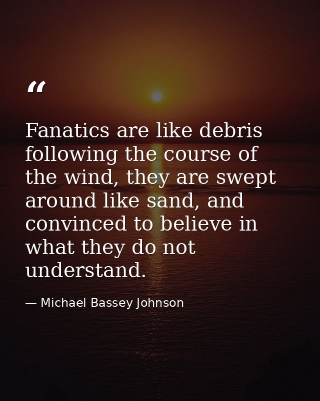 Fanatics are like debris following the course of the wind, they are swept around like sand, and convinced to believe in  — Michael Bassey Johnson