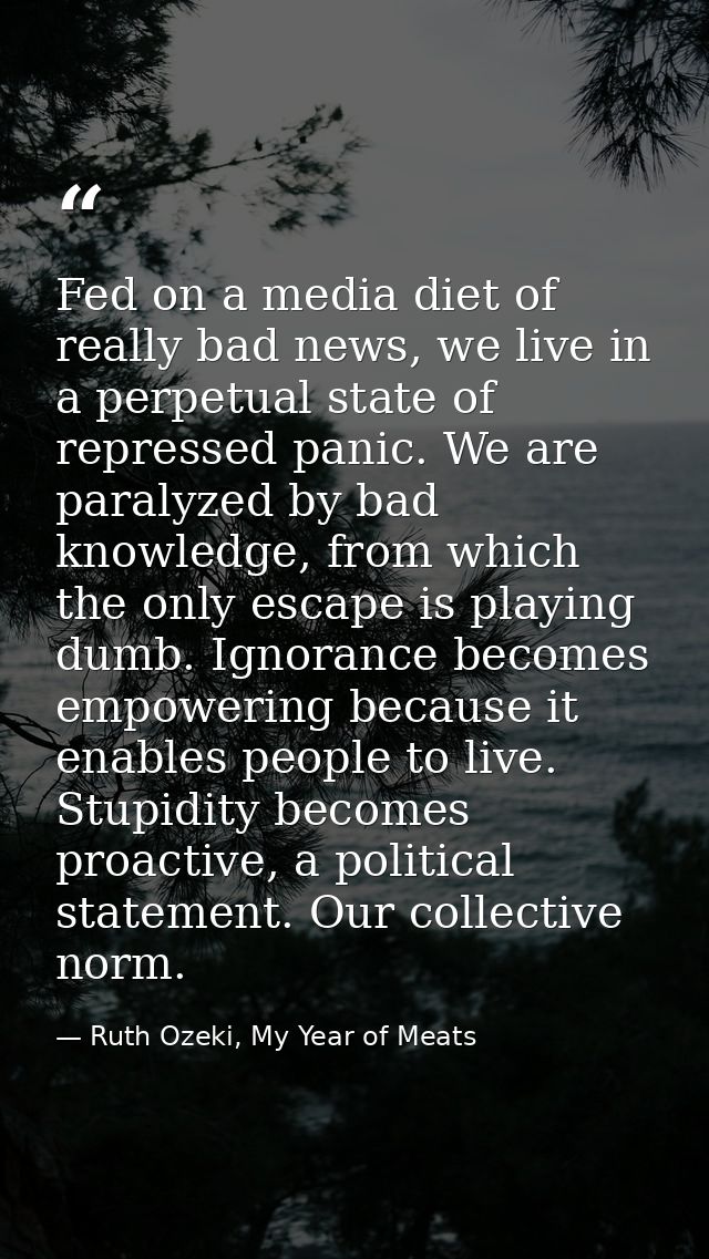 Fed on a media diet of really bad news, we live in a perpetual state of repressed panic. We are paralyzed by bad knowled — Ruth Ozeki, My Year of Meats