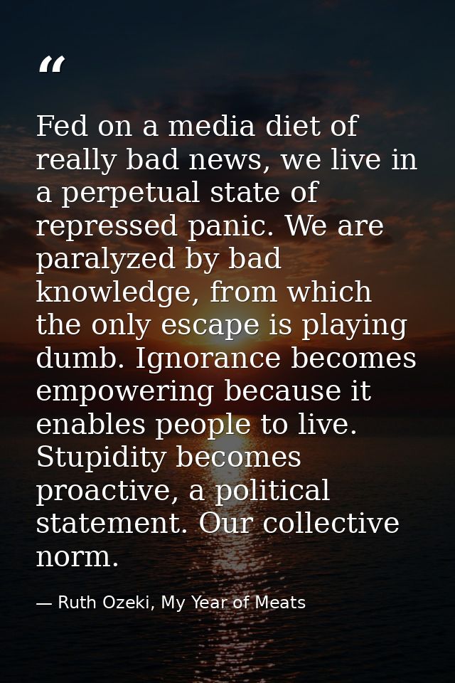 Fed on a media diet of really bad news, we live in a perpetual state of repressed panic. We are paralyzed by bad knowled — Ruth Ozeki, My Year of Meats