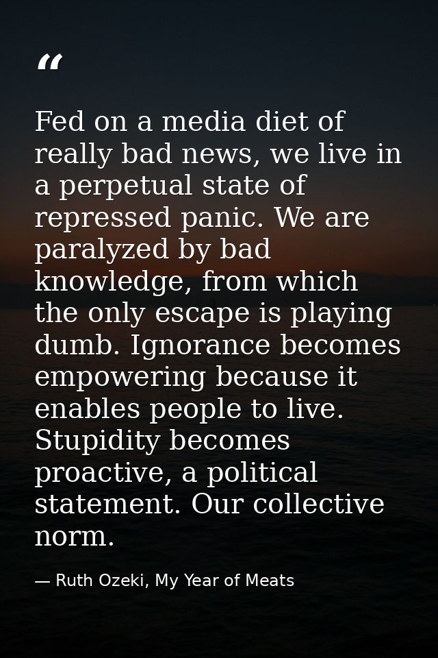 Fed on a media diet of really bad news, we live in a perpetual state of repressed panic. We are paralyzed by bad knowled — Ruth Ozeki, My Year of Meats