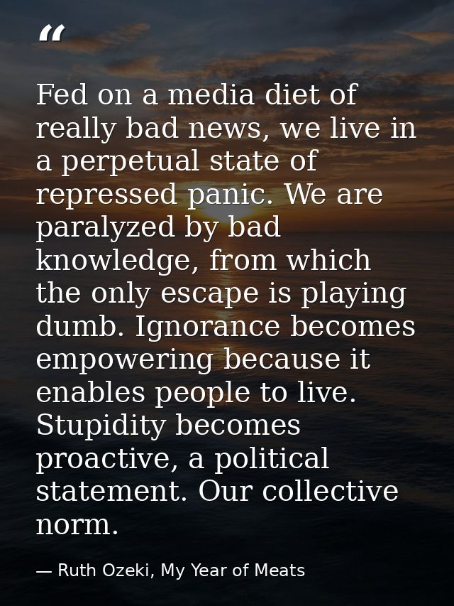 Fed on a media diet of really bad news, we live in a perpetual state of repressed panic. We are paralyzed by bad knowled — Ruth Ozeki, My Year of Meats