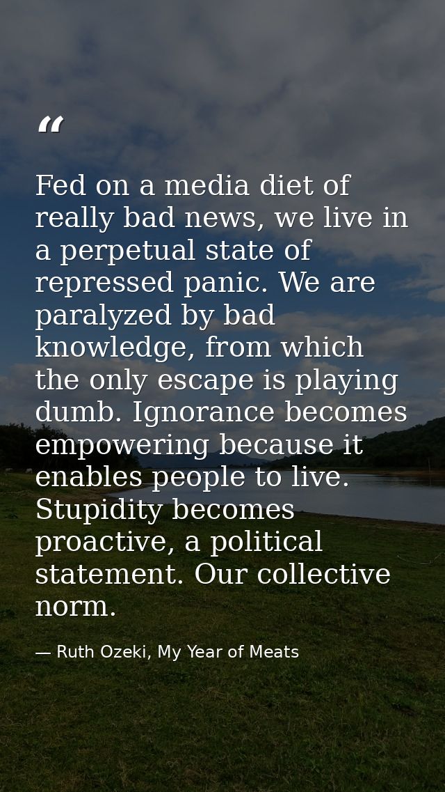 Fed on a media diet of really bad news, we live in a perpetual state of repressed panic. We are paralyzed by bad knowled — Ruth Ozeki, My Year of Meats
