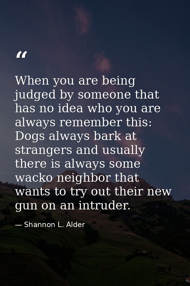 When you are being judged by someone that has no idea who you are always remember this: Dogs always bark at strangers an — Shannon L. Alder