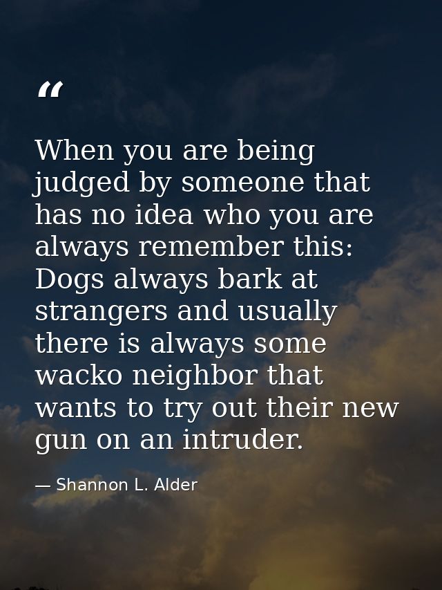 When you are being judged by someone that has no idea who you are always remember this: Dogs always bark at strangers an — Shannon L. Alder