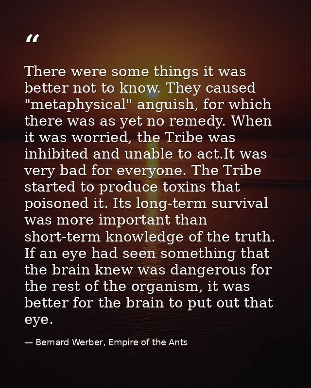 There were some things it was better not to know. They caused "metaphysical" anguish, for which there was as yet no reme — Bernard Werber, Empire of the Ants