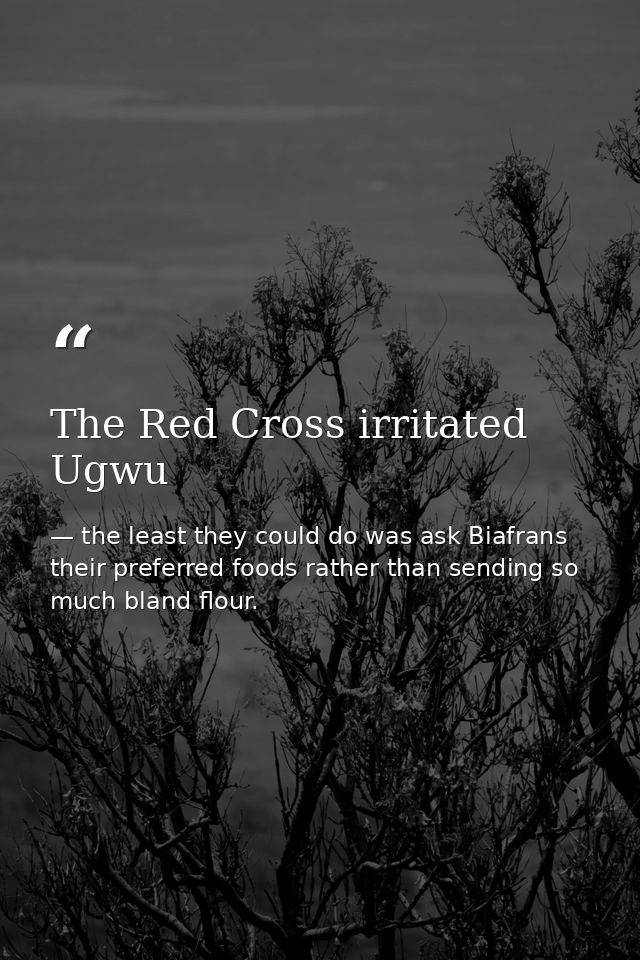 The Red Cross irritated Ugwu — the least they could do was ask Biafrans their preferred foods rather than sending so much bland flour.