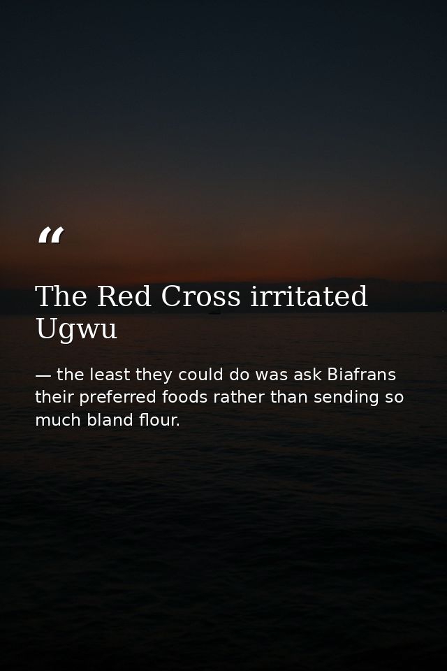 The Red Cross irritated Ugwu — the least they could do was ask Biafrans their preferred foods rather than sending so much bland flour.